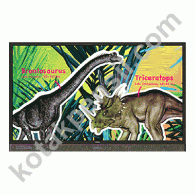 Interactive Flat Panel BENQ RP 704 K